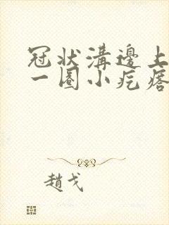 冠状沟边上长了一圈小疙瘩