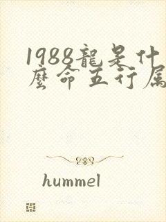 1988龙是什么命五行属什么属性的