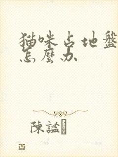 猫咪占地盘乱尿怎么办