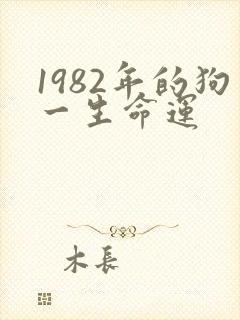 1982年的狗一生命运