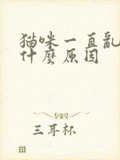 猫咪一直乱尿是什么原因封面