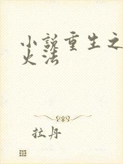 小说重生之狂暴火法