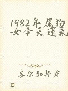 1982年属狗女今天运气怎么样封面