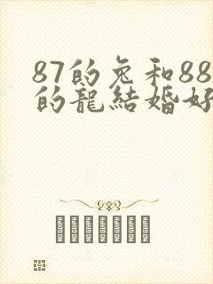 87的兔和88的龙结婚好不好