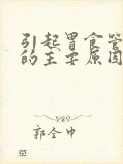 引起胃食管反流的主要原因