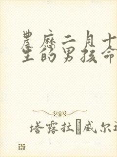 农历二月十五出生的男孩命运好吗