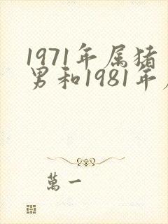 1971年属猪男和1981年属鸡女婚配