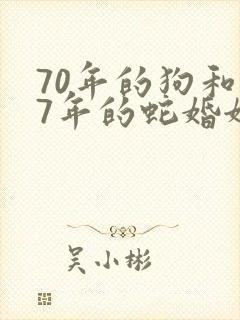 70年的狗和77年的蛇婚姻和吗