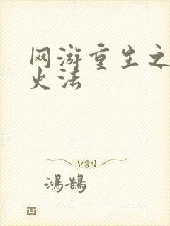 网游重生之狂暴火法