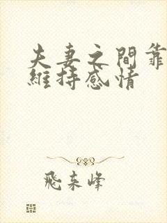 夫妻之间靠什么维持感情封面