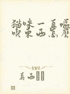 猫咪一直呕吐不吃东西怎么办