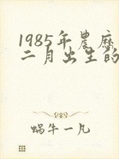 1985年农历二月出生的人命运是怎么样