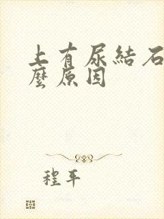 上有尿结石是什么原因