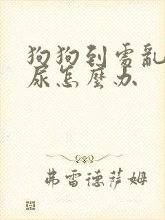 狗狗到处乱拉乱尿怎么办