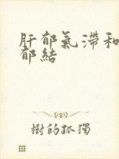 肝郁气滞和肝气郁结