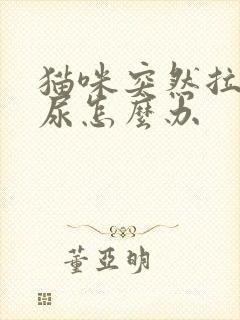 猫咪突然拉不出尿怎么办