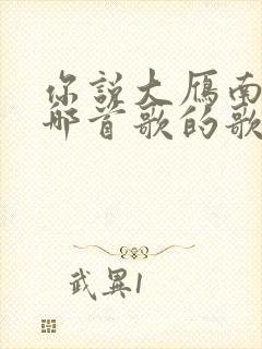 你说大雁南飞是哪首歌的歌词封面