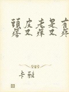 头皮老是有红疙瘩又痒又疼怎么回事