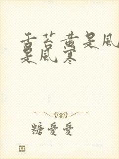 舌苔黄是风热还是风寒封面