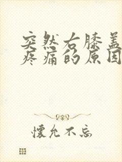 突然右膝盖内侧疼痛的原因