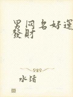 男网名好运气,发财