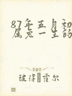 87年五月初一属兔一生的命运