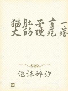 猫肚子有一块很大的硬疙瘩封面