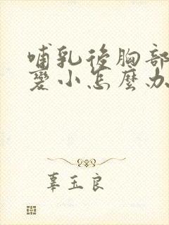 哺乳后胸部干瘪变小怎么办