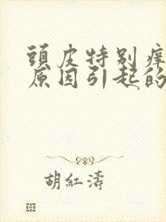 头皮特别痒什么原因引起的