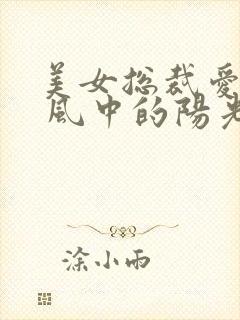 美女总裁爱上我 风中的阳光