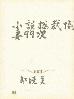 小说总裁倒追前妻99次