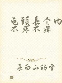 龟头长个肉疙瘩不疼不痒