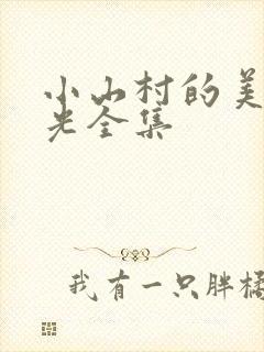 小山村的美好时光全集