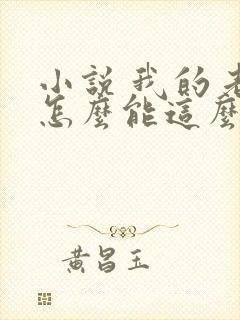 小说 我的老婆怎么能这么可爱?