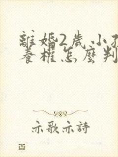 离婚2岁小孩抚养权怎么判定标准封面