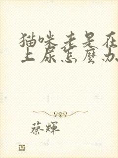 猫咪老是在沙发上尿怎么办