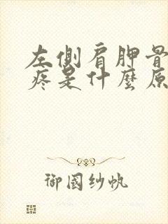 左侧肩胛骨后背疼是什么原因引起的