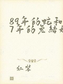 89年的蛇和87年的兔结婚