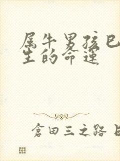 属牛男孩巳时出生的命运