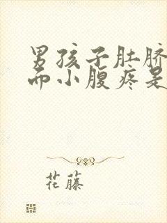 男孩子肚脐眼下面小腹疼是什么原因引起的