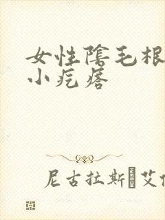 女性阴毛根部有小疙瘩