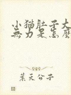 小猫肚子大后腿无力是怎么回事封面