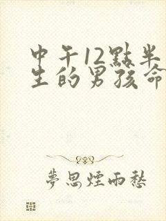 中午12点半出生的男孩命运怎么样