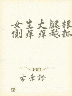 女生大腿根部内侧痒痒越抓越痒有小红疙瘩