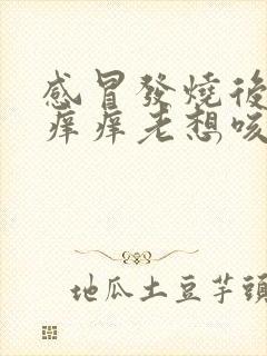 感冒发烧后嗓子痒痒老想咳嗽怎么办