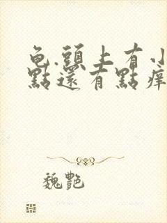 龟.头上有小红点还有点痒是怎么回事