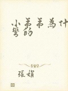 小弟弟为什么是弯的封面