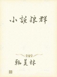 小说狼群