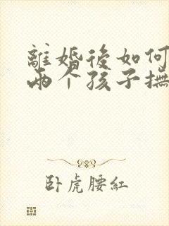 离婚后如何争取两个孩子抚养权封面