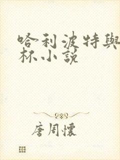 哈利波特与火焰杯小说封面